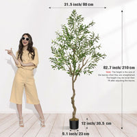 7 FT