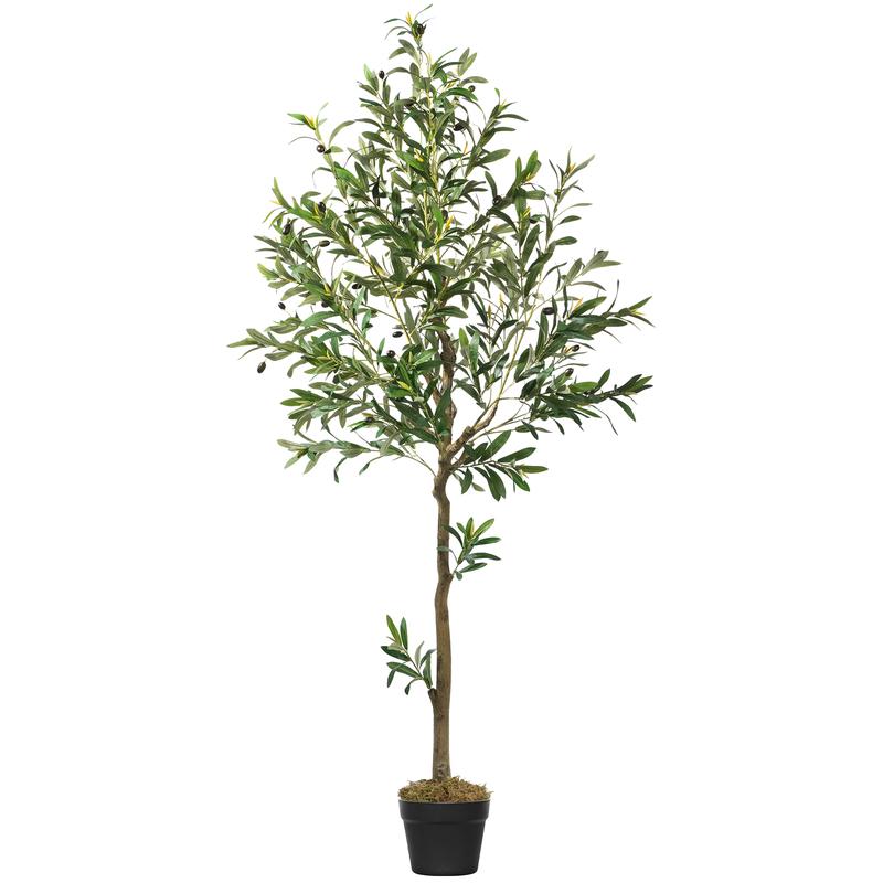 Natural Charm Olive
