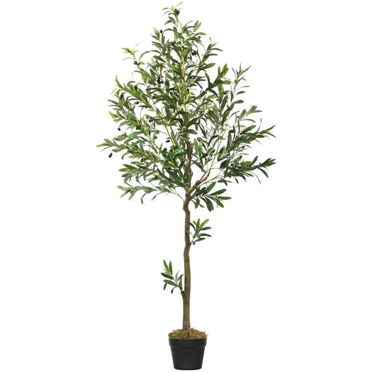 Natural Charm Olive